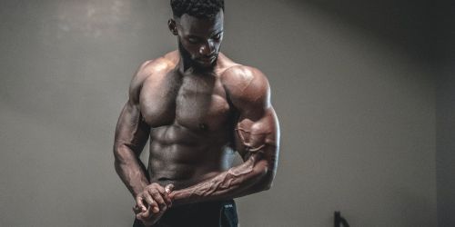 Bulls and Stags in Clifton, New Jersey